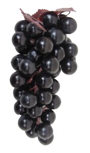Tros druiven zwart