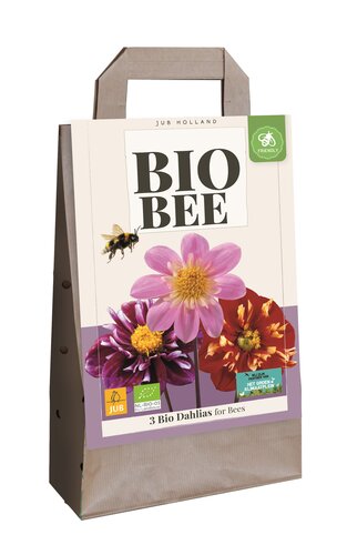 Ts bio bee Dahlias 3st