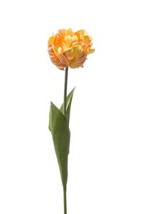 Tulip paris spray yellow/peach 66cm
