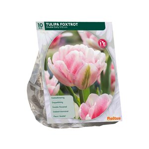 Tulipa Dubbel Vroeg Foxtrot per 10 - afbeelding 2