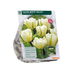Tulipa Dubbel Vroeg White Valley per 10 - afbeelding 2