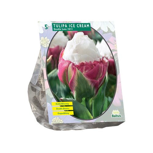 Tulipa Ice Cream per 5 - afbeelding 1
