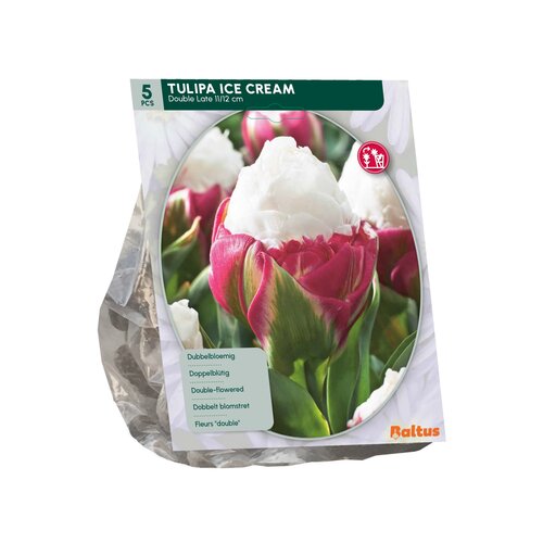 Tulipa Ice Cream per 5 - afbeelding 2
