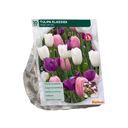 Tulipa Klassiek Mix, Enkel Laat per 10