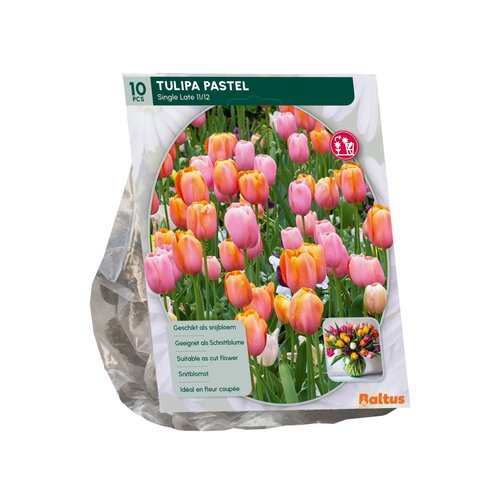 Tulipa Pastel Mix, Enkel Laat per 10