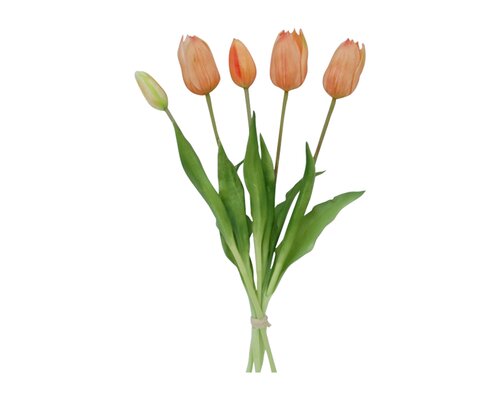 Tulp bundel (5) oranje 40 cm