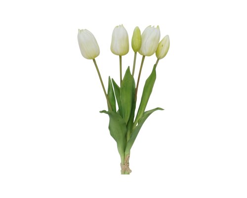 Tulp bundel (5) wit 40 cm