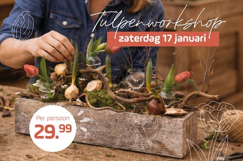 Tulpenworkshop - Oss