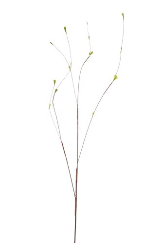 Twig spray with lvs 130cm