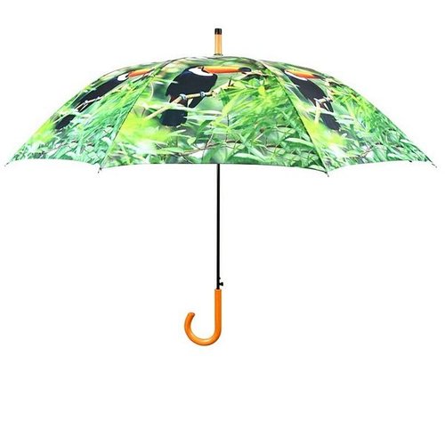 Umbrella toucan