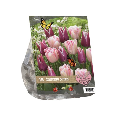 Urban Flowers - Dancing queen per 15 - afbeelding 1