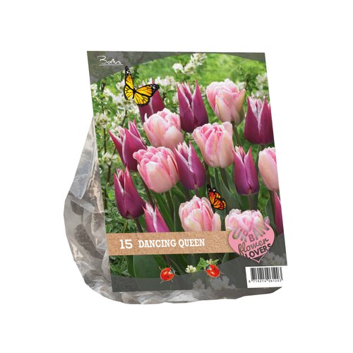 Urban Flowers - Dancing queen per 15 - afbeelding 2