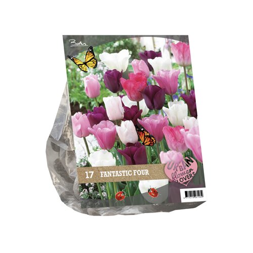 Urban Flowers - Fantastic Four per 17 - afbeelding 1