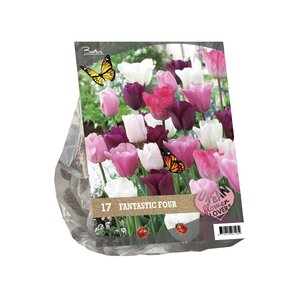 Urban Flowers - Fantastic Four per 17 - afbeelding 1