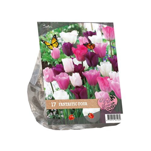 Urban Flowers - Fantastic Four per 17 - afbeelding 2