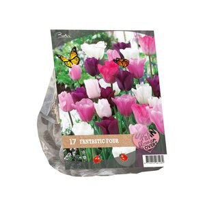 Urban Flowers - Fantastic Four per 17 - afbeelding 2