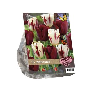 Urban Flowers - Perfection per 15 - afbeelding 1