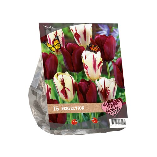 Urban Flowers - Perfection per 15 - afbeelding 2