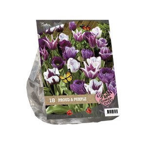 Urban Flowers - Proud & Purple per 18 - afbeelding 1