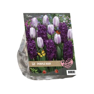 Urban Flowers - Purple rain per 12 - afbeelding 1