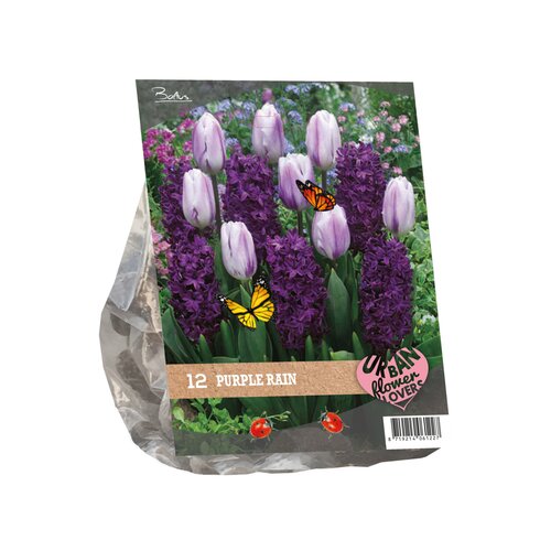 Urban Flowers - Purple rain per 12 - afbeelding 2
