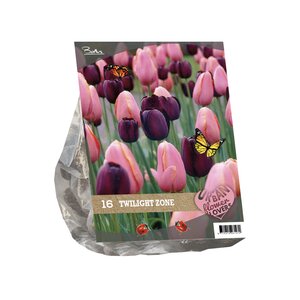 Urban Flowers - Twilight zone per 16 - afbeelding 1