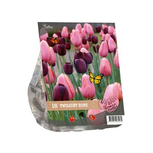 Urban Flowers - Twilight zone per 16 - afbeelding 2