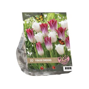 Urban Flowers - Virgin dreams per 10 - afbeelding 1