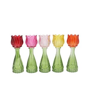 Vaas Bicolore multi-color tulip - H 22 x D 7 cm
