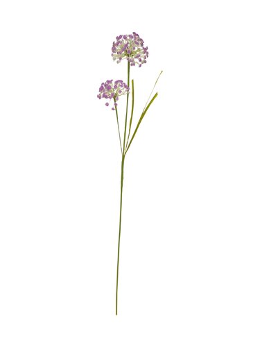 Veldbloem 81 cm