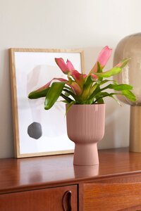 vibes fold coupe 14 delic roze - afbeelding 3