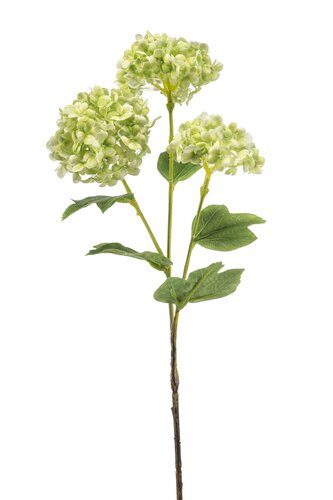 Viburnum Tak Zijde - 60cm Groen