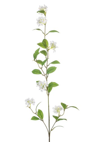 Viburnum vine spray white 105cm