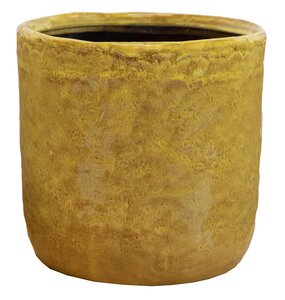 Village Pot Mimosa D 8.5H7.5