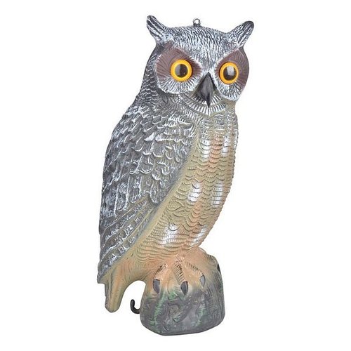 Vogelverschrikker Uil