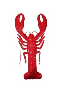 Wanddeco kreeft B 29 x H 57 cm rood