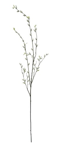 Wilgenkatjes Tak 135 cm