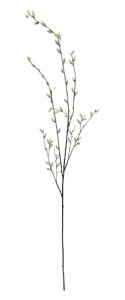 Wilgenkatjes Tak 135 cm