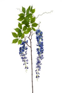 Wisteria branch blue 145cm
