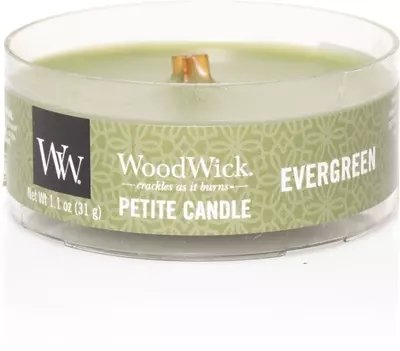 WoodWick Evergreen Petite Candle