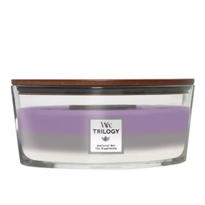 WoodWick Trilogy Amethyst Sky Ellipse Candle