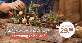 Workshop Nationale Tulpendag