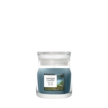 Yankee Candle Bayside Cedar Small Jar