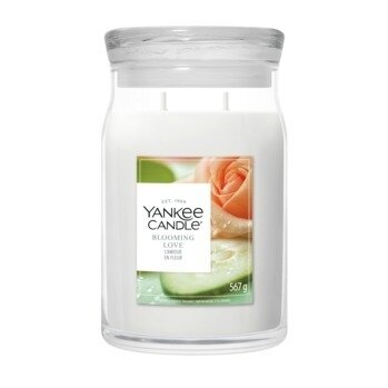 Yankee Candle Blooming Love Large Jar