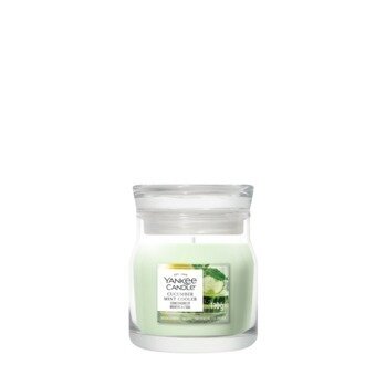 Yankee Candle Cucumber Mint Cooler Small Jar