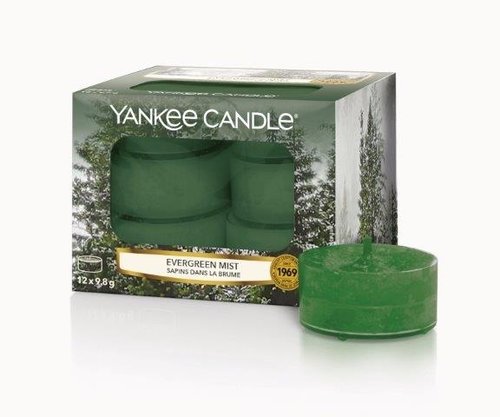Yankee Candle Evergreen Mist Tea Lights 12 st.
