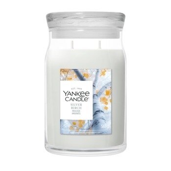 Yankee Candle Silver Birch Large Jar
