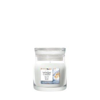 Yankee Candle Silver Birch Small Jar