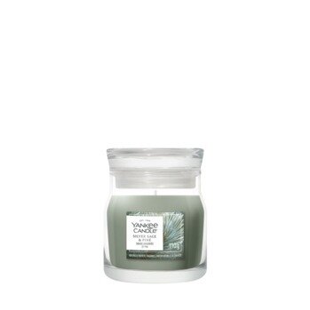 Yankee Candle Silver Sage & Pine Small Jar
