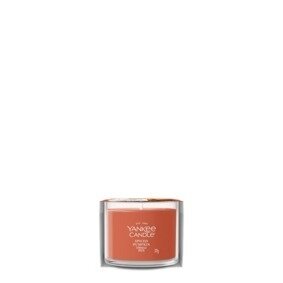 Yankee Candle Spiced Pumpkin Mini Filled Votive